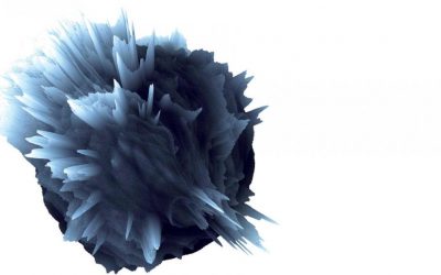 Bursting the CEO Bubble
